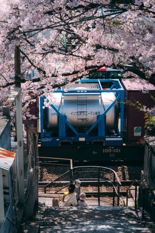 尾道の桜と貨物列車