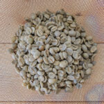 コーヒー豆の生豆