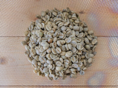 コーヒー豆の生豆